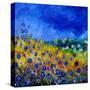 Blue Cornflowers 7741-Pol Ledent-Stretched Canvas