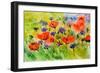 Blue Cornflowers And Red Poppies-Pol Ledent-Framed Premium Giclee Print