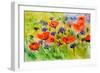Blue Cornflowers And Red Poppies-Pol Ledent-Framed Premium Giclee Print