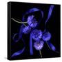 Blue Cornflowers-Magda Indigo-Framed Stretched Canvas