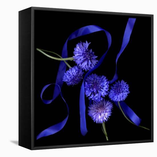 Blue Cornflowers-Magda Indigo-Framed Stretched Canvas
