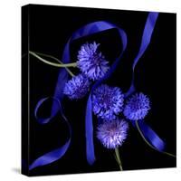 Blue Cornflowers-Magda Indigo-Stretched Canvas