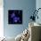 Blue Cornflowers-Magda Indigo-Photographic Print displayed on a wall