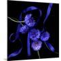 Blue Cornflowers-Magda Indigo-Mounted Photographic Print