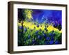 Blue cornflowers-Pol Ledent-Framed Art Print