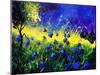 Blue cornflowers-Pol Ledent-Mounted Art Print