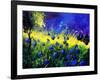 Blue cornflowers-Pol Ledent-Framed Art Print
