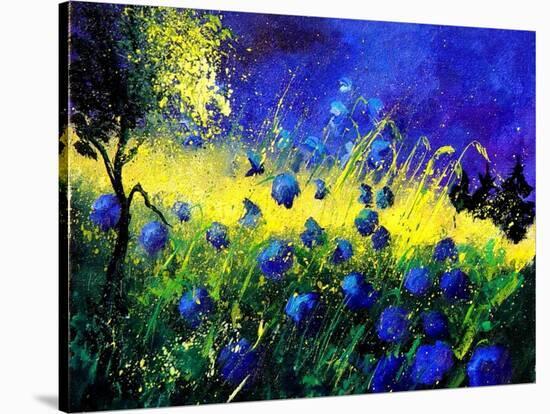 Blue cornflowers-Pol Ledent-Stretched Canvas