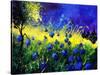 Blue cornflowers-Pol Ledent-Stretched Canvas