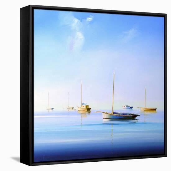 Blue Couta 2-Craig Trewin Penny-Framed Stretched Canvas