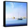 Blue Couta 2-Craig Trewin Penny-Framed Stretched Canvas