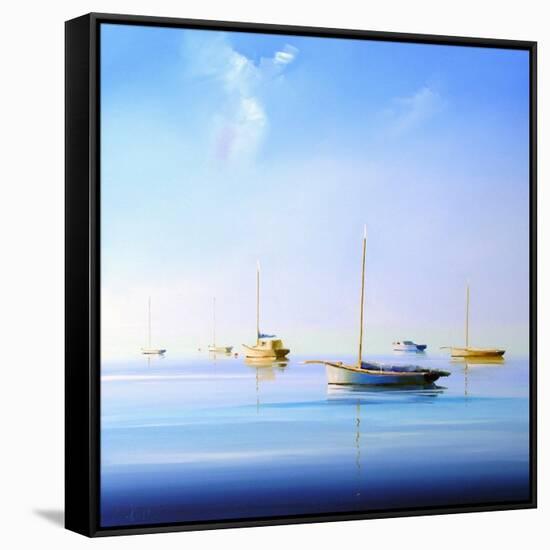 Blue Couta 2-Craig Trewin Penny-Framed Stretched Canvas