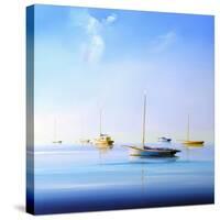 Blue Couta 2-Craig Trewin Penny-Stretched Canvas