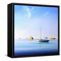 Blue Couta 2-Craig Trewin Penny-Framed Stretched Canvas