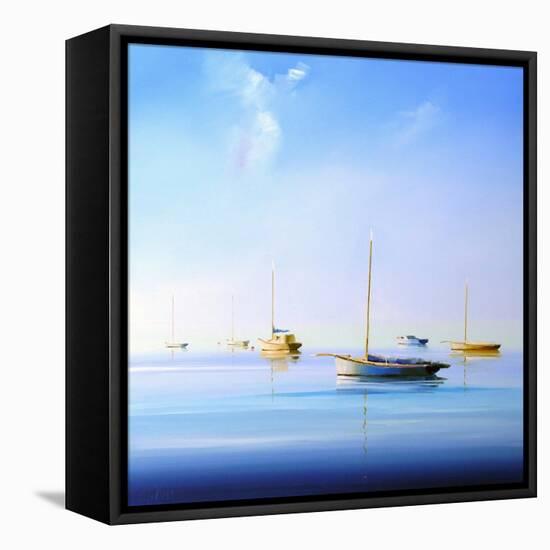 Blue Couta 2-Craig Trewin Penny-Framed Stretched Canvas