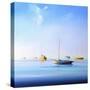 Blue Couta 2-Craig Trewin Penny-Stretched Canvas