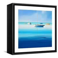 Blue Couta-Craig Trewin Penny-Framed Stretched Canvas