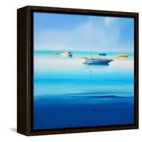 Blue Couta-Craig Trewin Penny-Framed Stretched Canvas