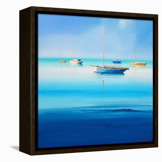 Blue Couta-Craig Trewin Penny-Framed Stretched Canvas