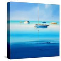 Blue Couta-Craig Trewin Penny-Stretched Canvas