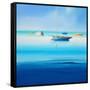 Blue Couta-Craig Trewin Penny-Framed Stretched Canvas