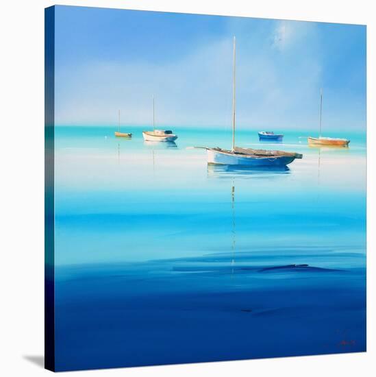 Blue Couta-Craig Trewin Penny-Stretched Canvas