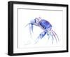 Blue Crab 2-Suren Nersisyan-Framed Art Print