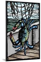 Blue Crab - Scratchboard-Lantern Press-Mounted Art Print