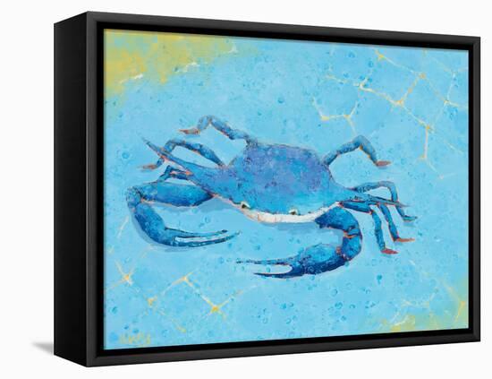 Blue Crab V-Phyllis Adams-Framed Stretched Canvas