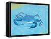 Blue Crab V-Phyllis Adams-Framed Stretched Canvas