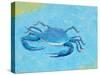 Blue Crab V-Phyllis Adams-Stretched Canvas