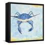 Blue Crab VI-Phyllis Adams-Framed Stretched Canvas