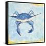 Blue Crab VI-Phyllis Adams-Framed Stretched Canvas