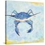 Blue Crab VI-Phyllis Adams-Stretched Canvas