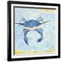 Blue Crab VI-Phyllis Adams-Framed Art Print