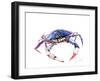 Blue Crab-Suren Nersisyan-Framed Art Print