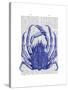 Blue Crab-Fab Funky-Stretched Canvas