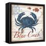 Blue Crab-Todd Williams-Framed Stretched Canvas