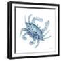 Blue Crab-Patti Bishop-Framed Art Print