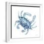 Blue Crab-Patti Bishop-Framed Art Print