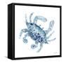 Blue Crab-Patti Bishop-Framed Stretched Canvas