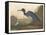 Blue Crane or Heron, 1836-John James Audubon-Framed Stretched Canvas