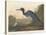 Blue Crane or Heron, 1836-John James Audubon-Stretched Canvas