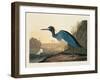 Blue Crane or Heron Plate 307-Porter Design-Framed Giclee Print