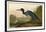 Blue Crane or Heron-John James Audubon-Framed Giclee Print