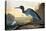 Blue Crane or Heron-John James Audubon-Stretched Canvas