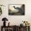 Blue Crane or Heron-John James Audubon-Framed Stretched Canvas displayed on a wall