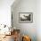 Blue Crane or Heron-John James Audubon-Framed Giclee Print displayed on a wall