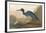 Blue Crane-James Audubon-Framed Giclee Print