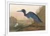 Blue Crane-James Audubon-Framed Giclee Print